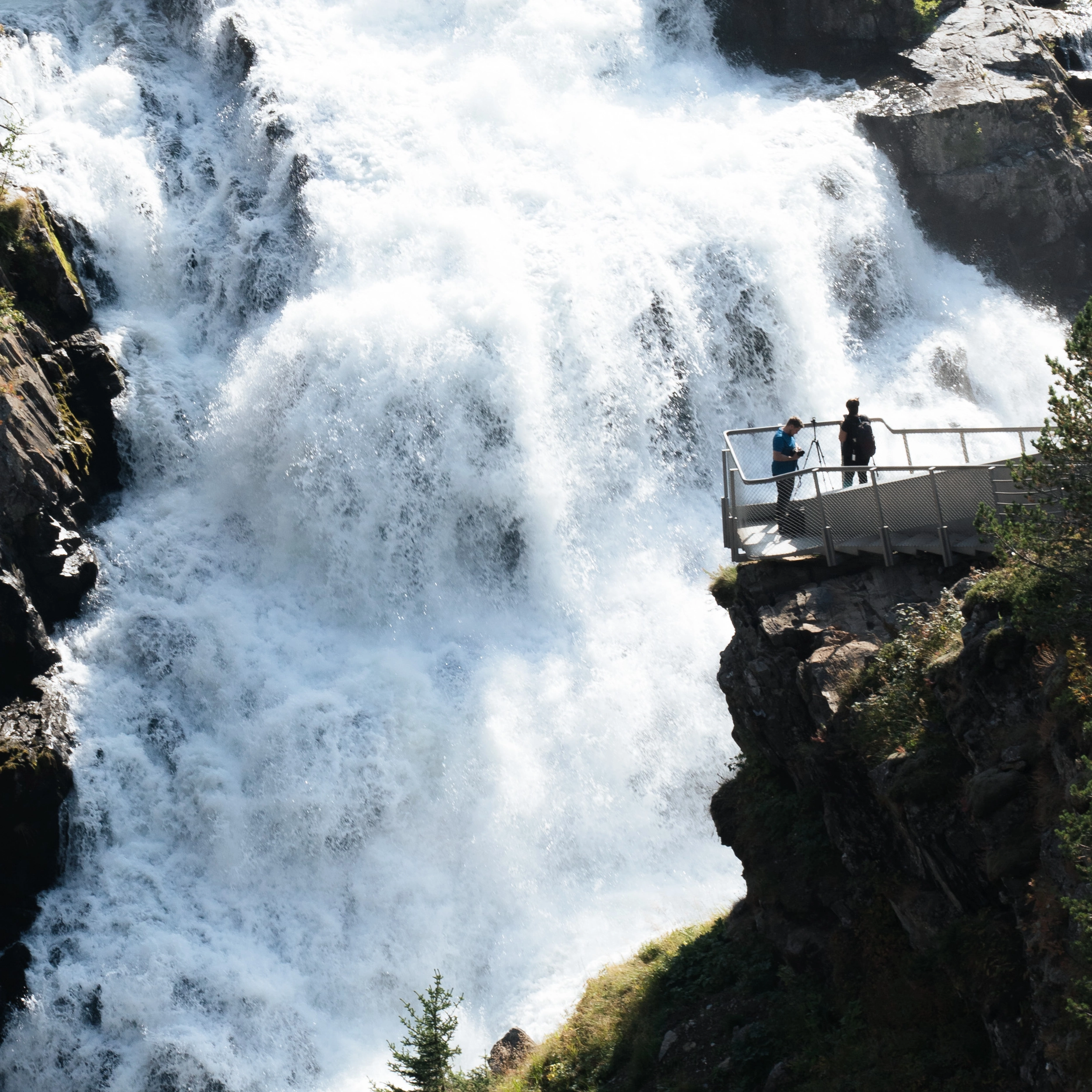 Hardangerfjord in a Nutshell - fjords, waterfalls and fruit