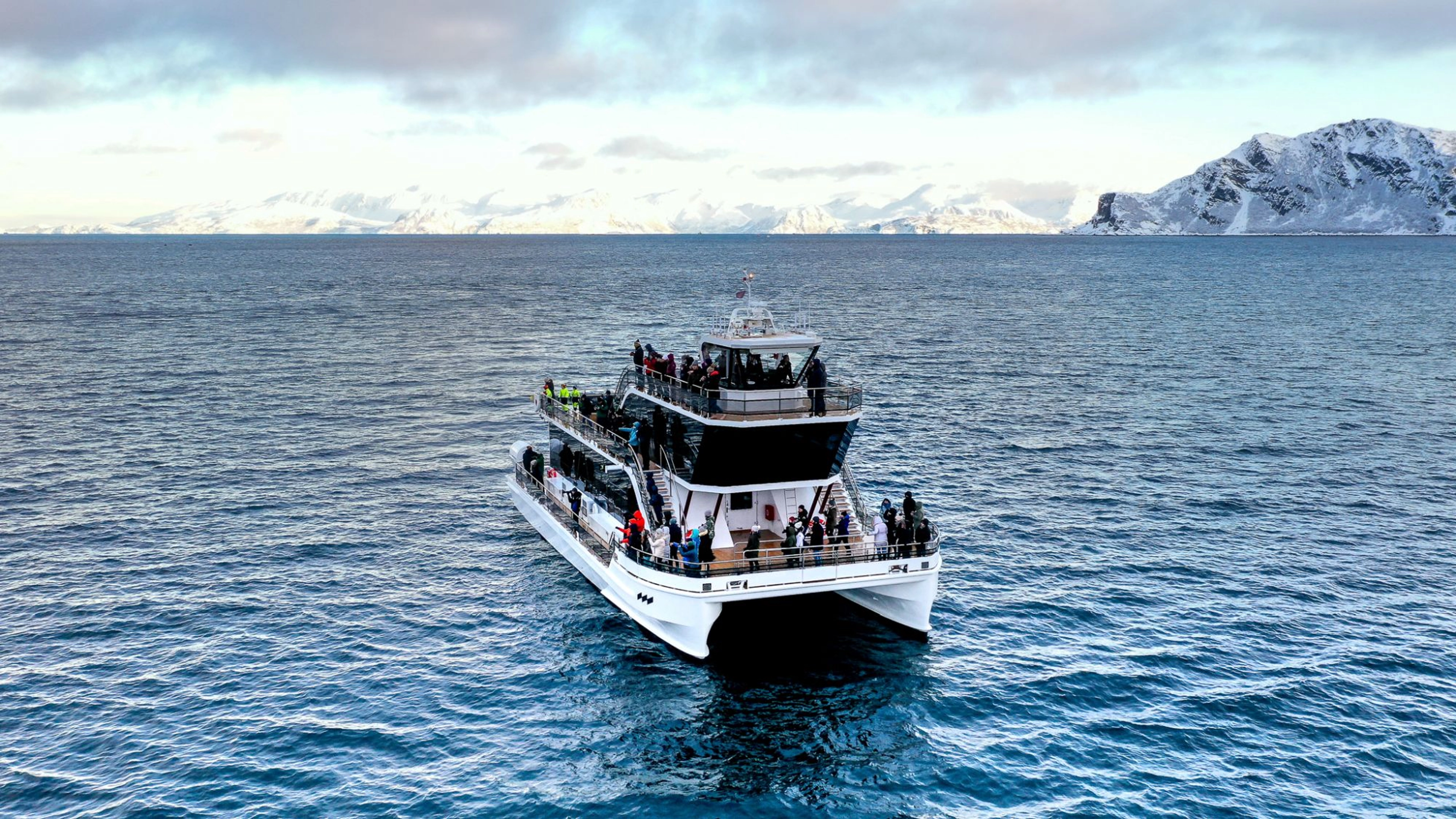 Ting å gjøre i Tromsø - Hvalsafari med stille hybridbåt - Tromsø