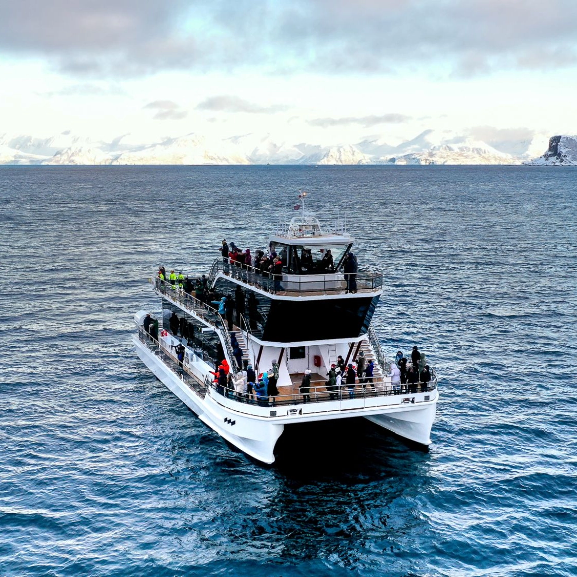 Walsafari in Tromsø Aktivitäten in Tromsø - Walbeobachtung mit einem leisen Hybridboot - Tromsø