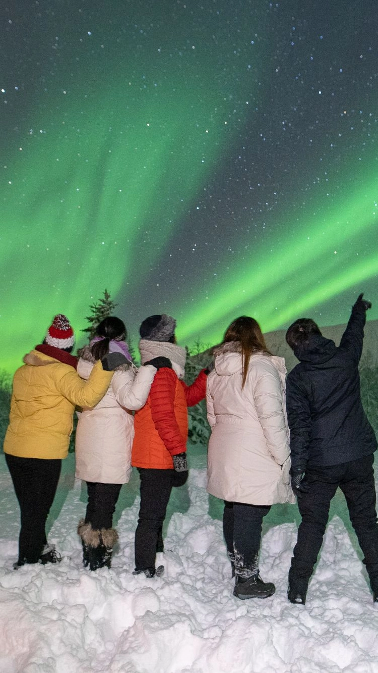 Aktiviteter i Tromsø - Aurora Safari Camp i Tromsø