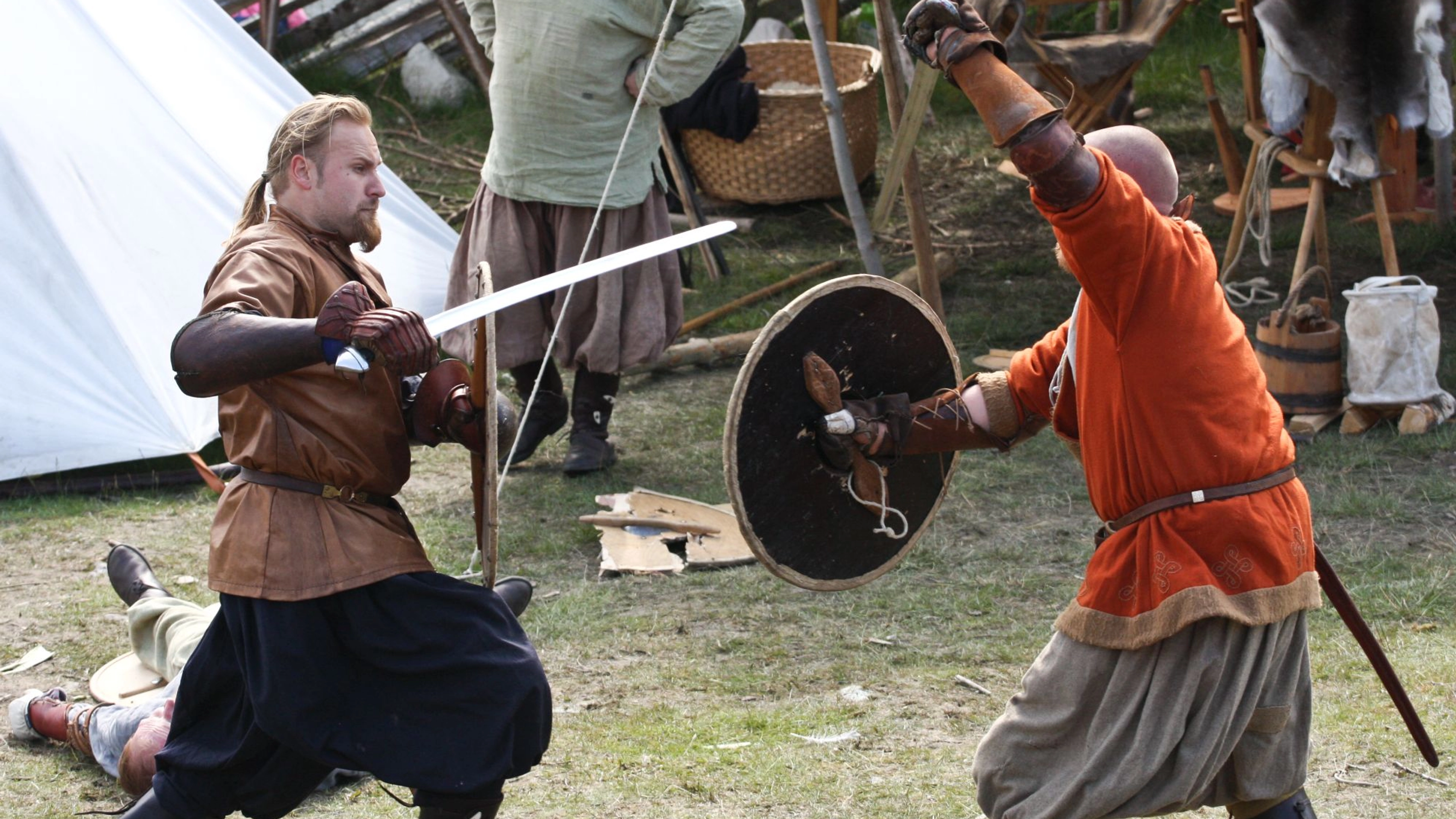 Vikings in combat