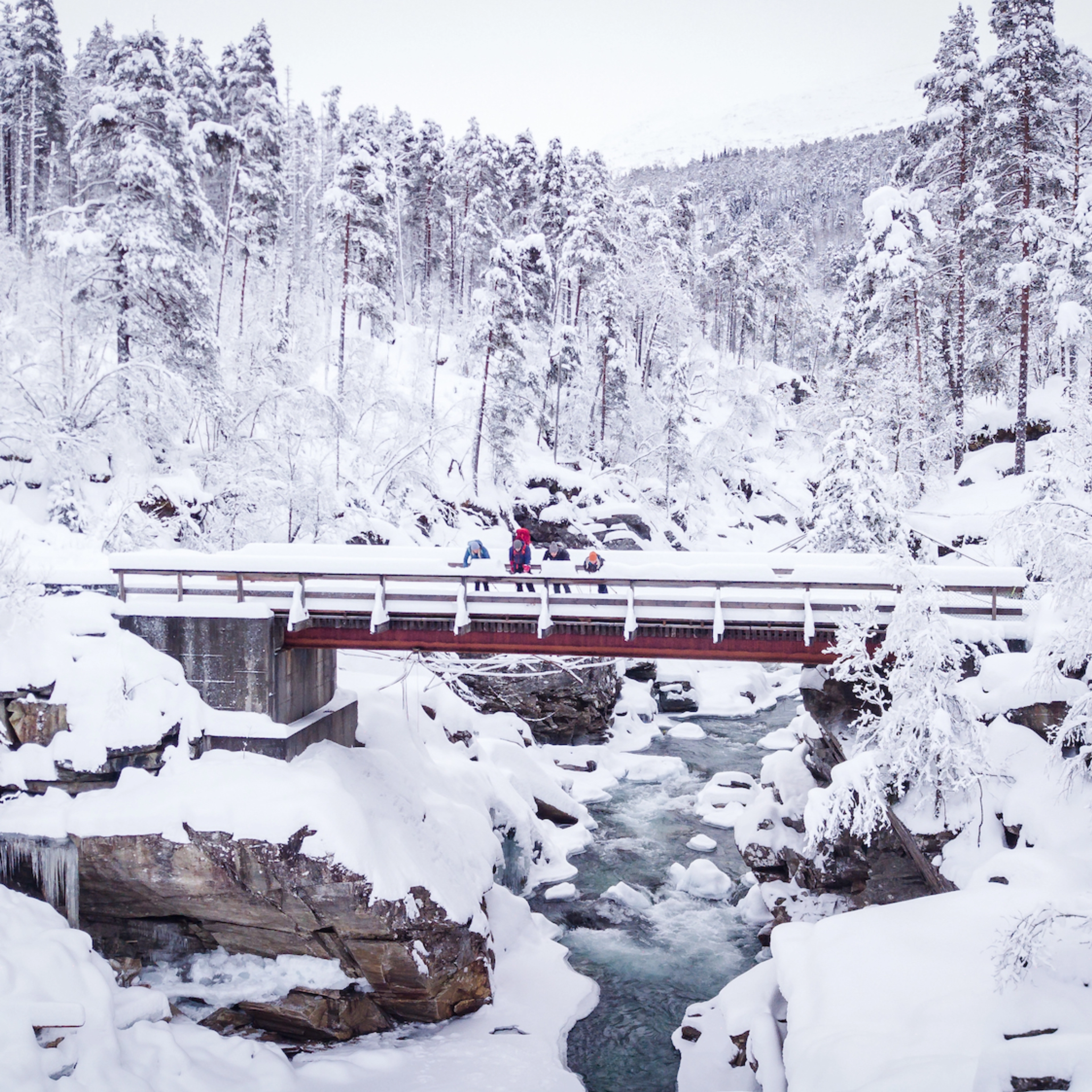 Wintertour auf Schneeschuhen in Raundalen - Voss, Norwegen