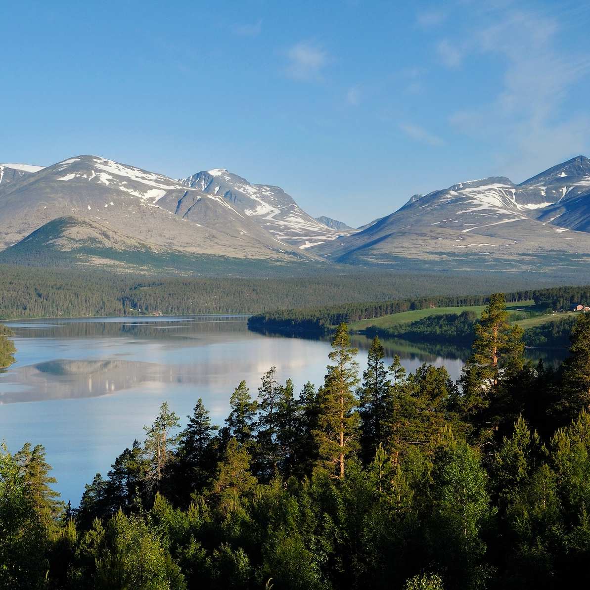 Rondane National Tourist Route -A closer look at Rondane