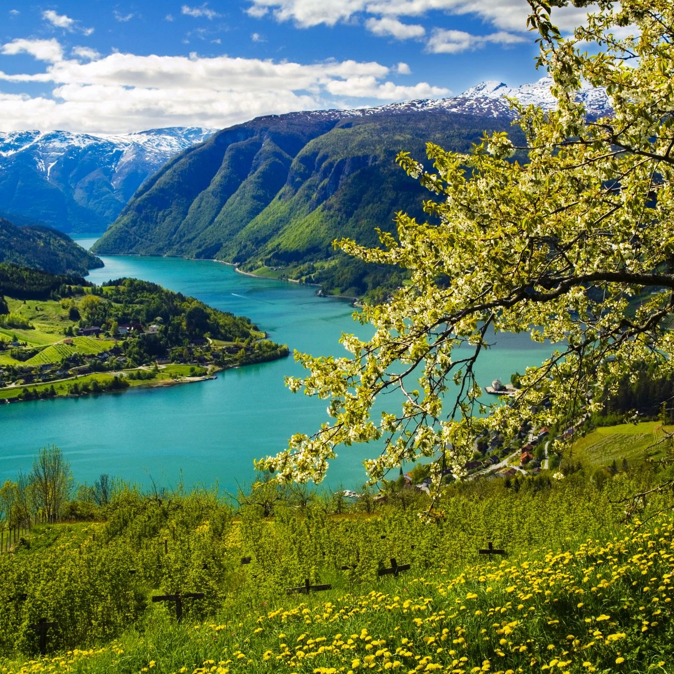 Hardangerfjord in a Nutshell - fjords, waterfalls and fruit