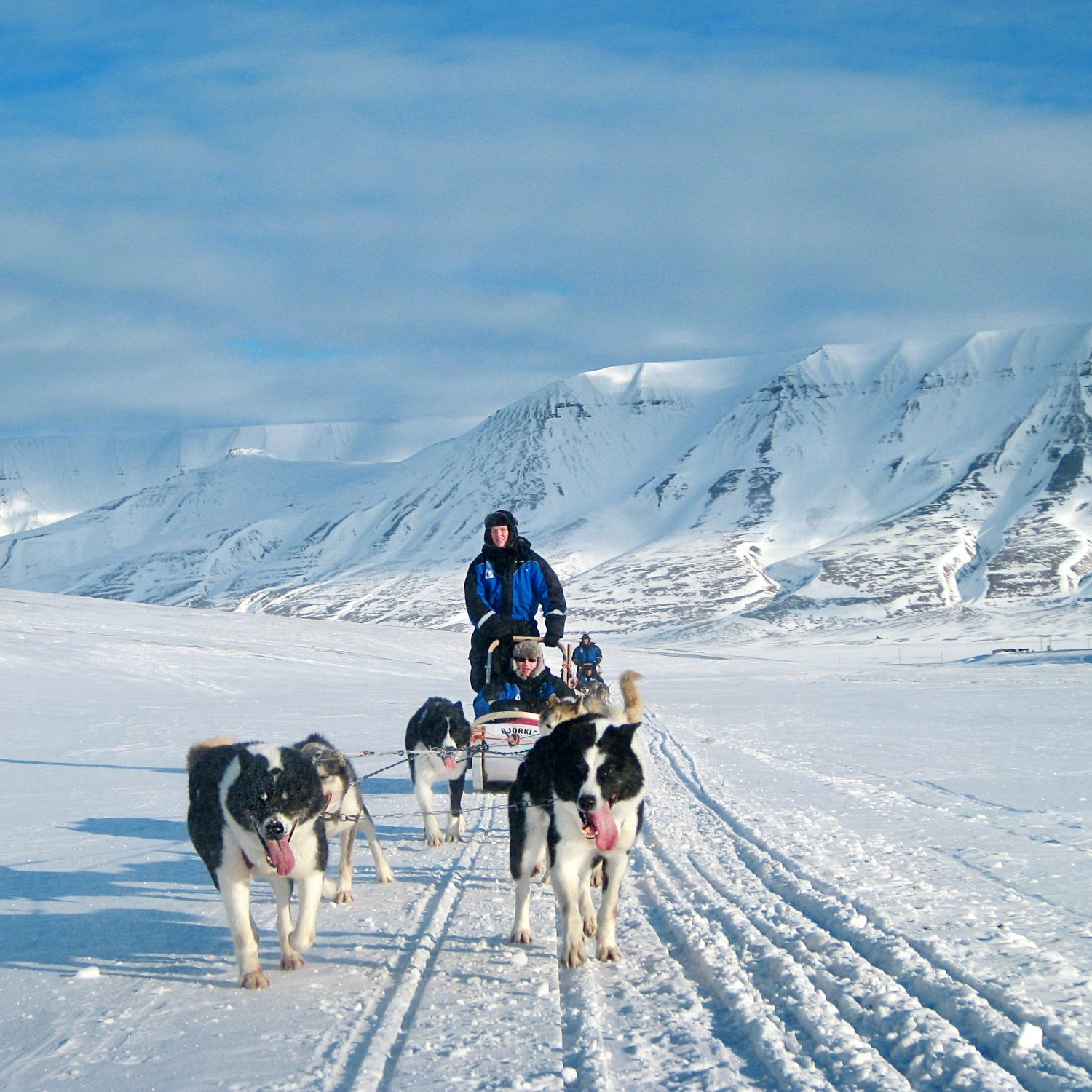 Dogsledding in Svalbard Norway