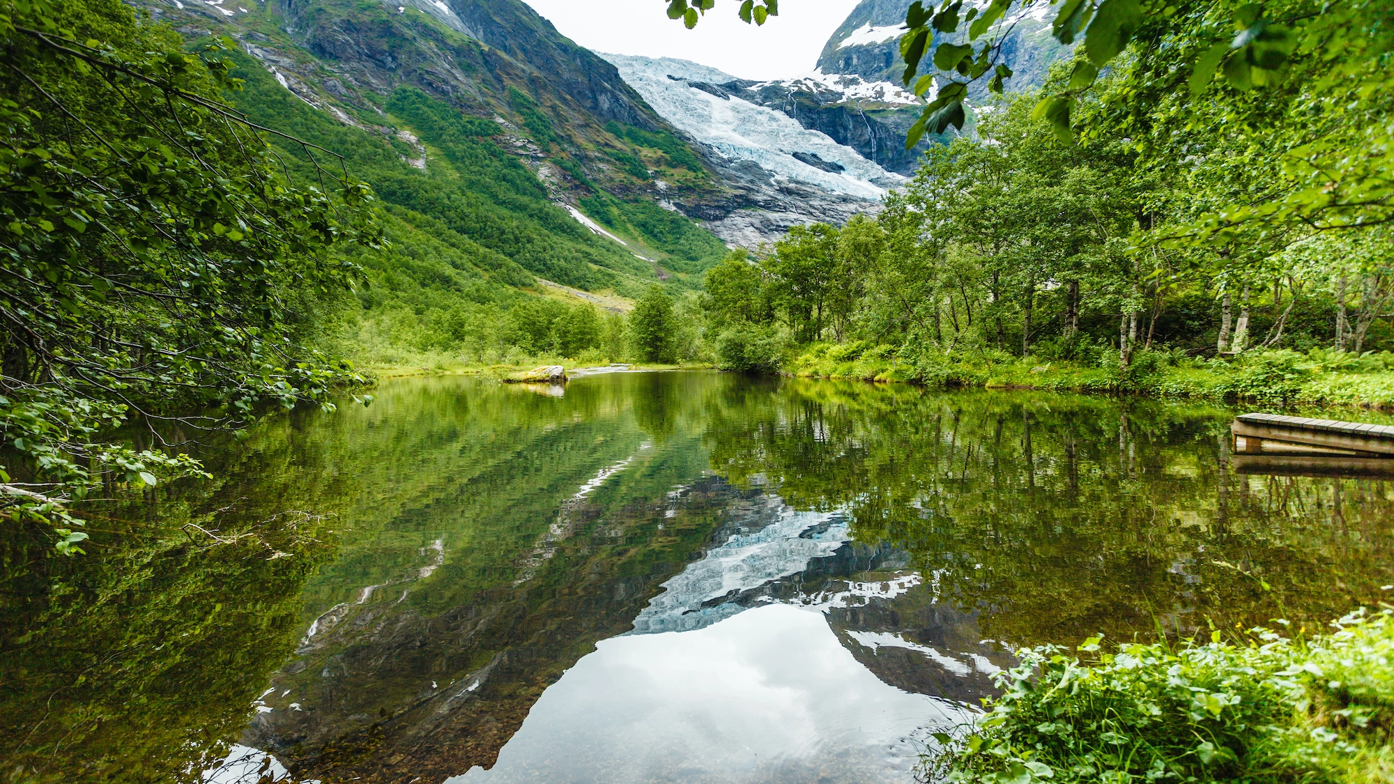 Fjord and glacier tour on the Fjærlandsfjord from Balestrand Beautiful Bøyabreen glacier - Fjord & Glacier trip to Fjærland, Norway