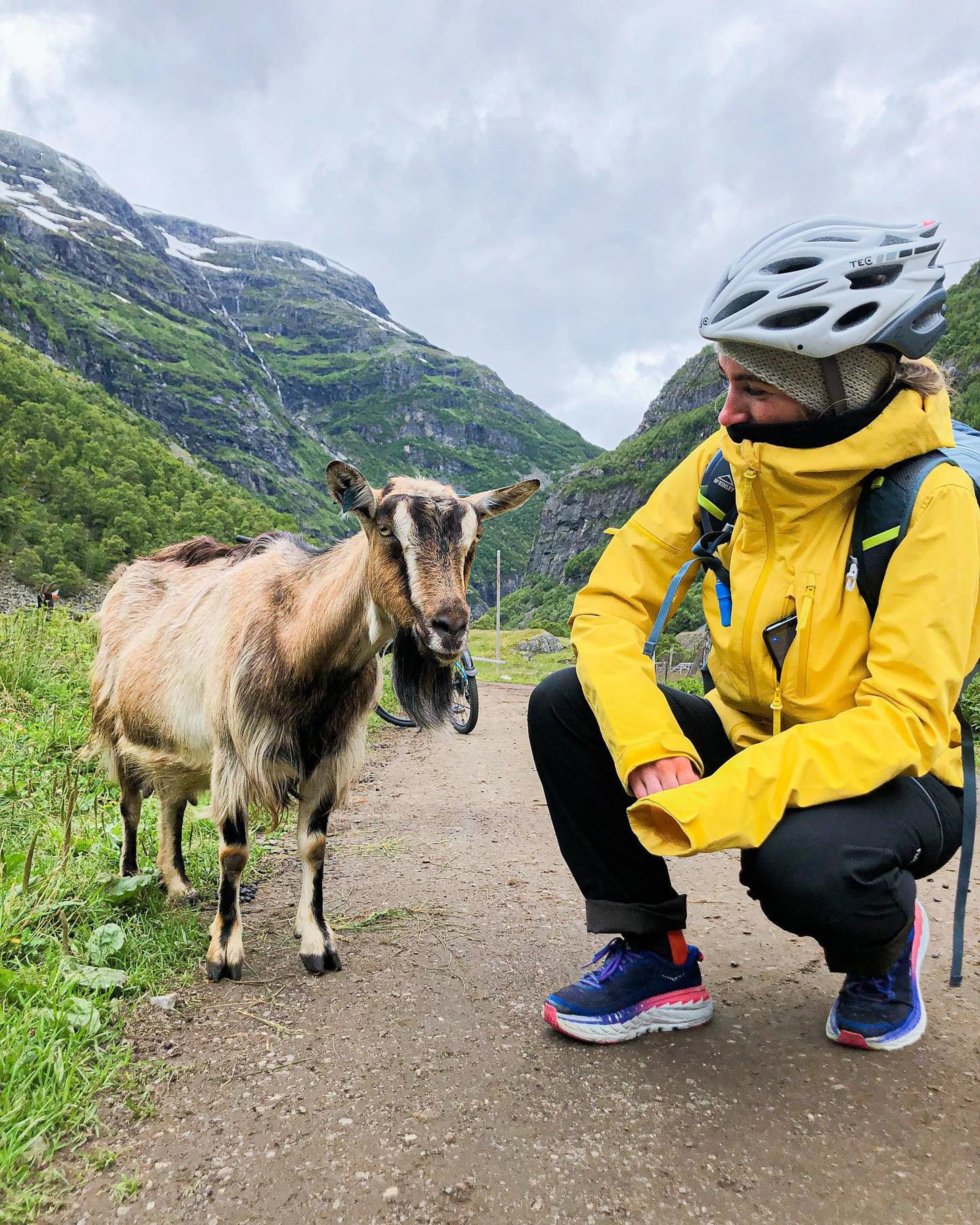 "Meet the locals" auf einer Wanderung - Vatnahalsen, Norwegen
