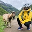 "Meet the locals" auf einer Wanderung - Vatnahalsen, Norwegen