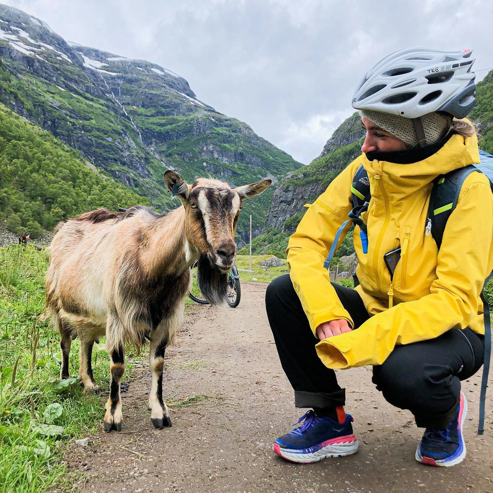 Vatnahalsen "Meet the locals" on a Hiking trip - Vatnahalsen, Norway