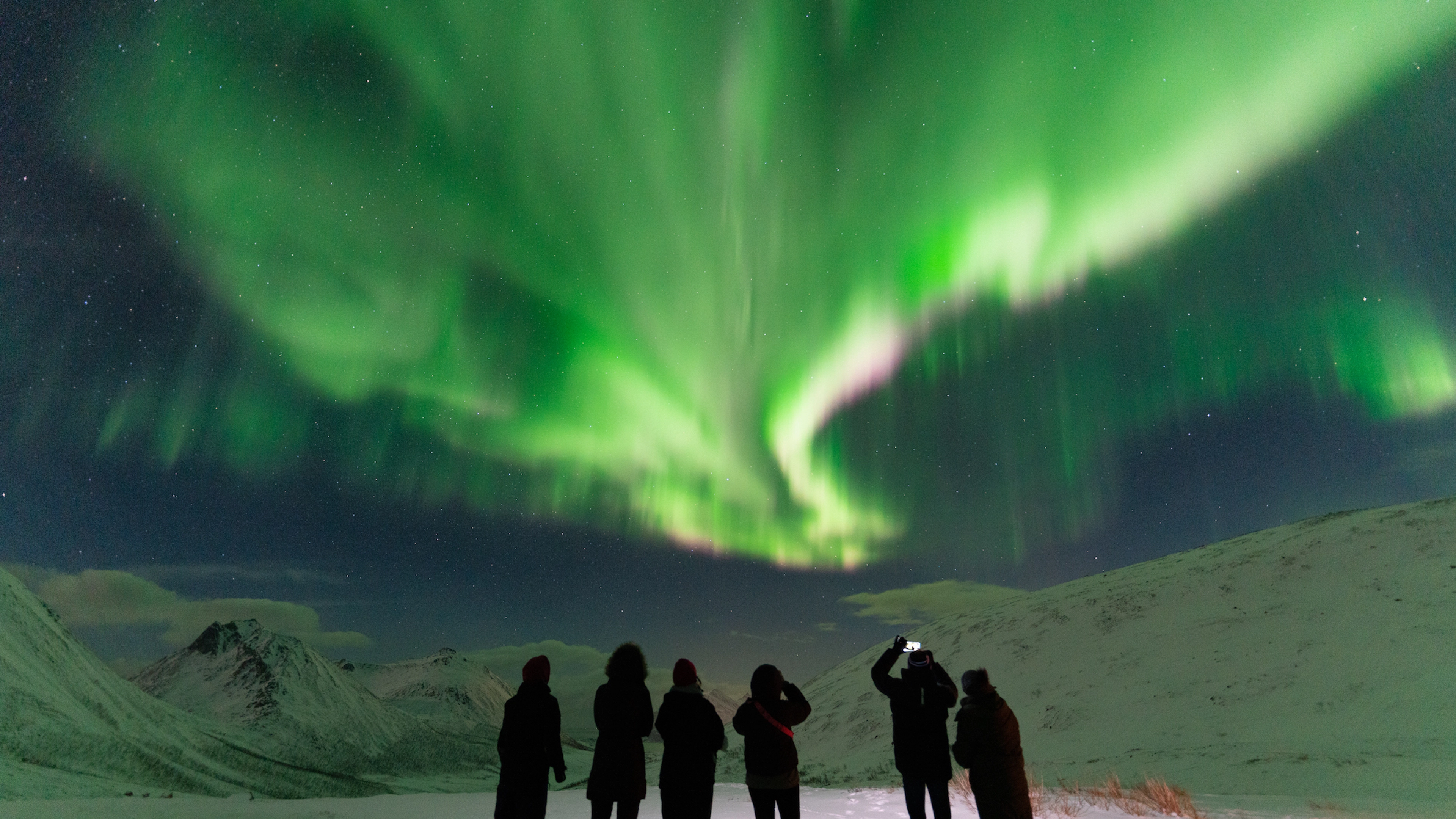 Nordlichter in Tromsø - geführte Tour ab Tromsø, Norwegen