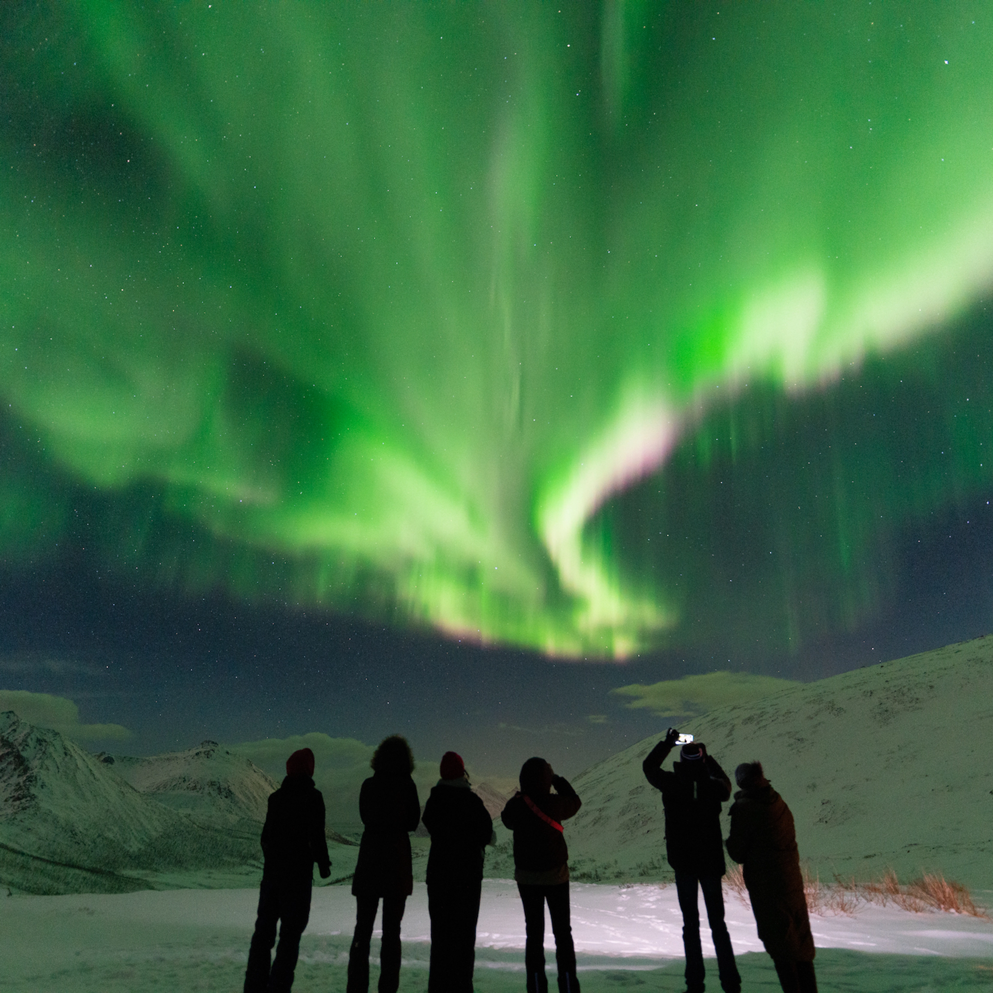 Nordlichter in Tromsø - geführte Tour ab Tromsø, Norwegen
