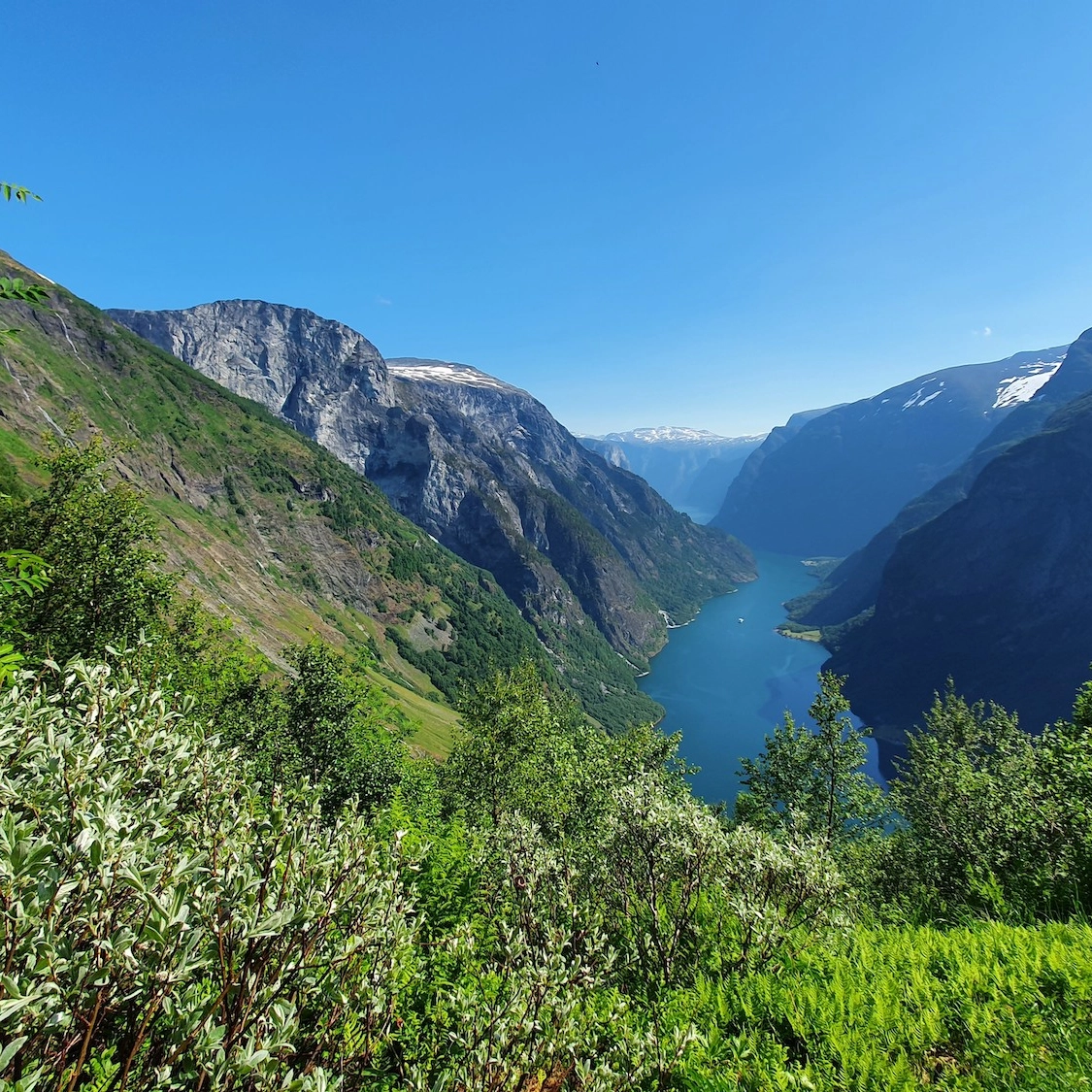 Geführte Wanderung nach Rimstigen von Voss - Blick auf den UNESCO Nærøyfjord, Voss, Norwegen