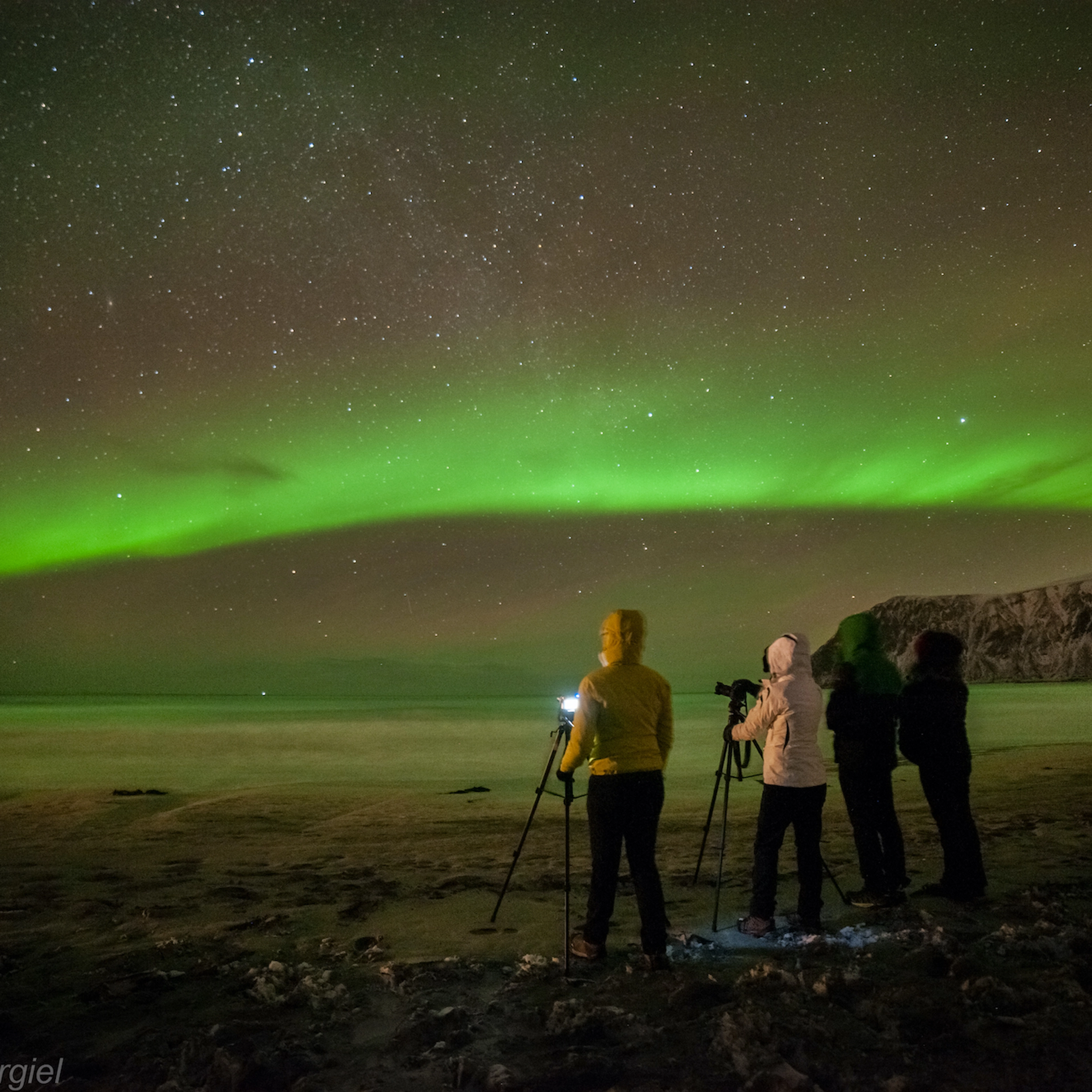 Nordlicht-Fototour in Reine, Lofoten - Aktivitäten auf den Lofoten, Reine, Norwegen