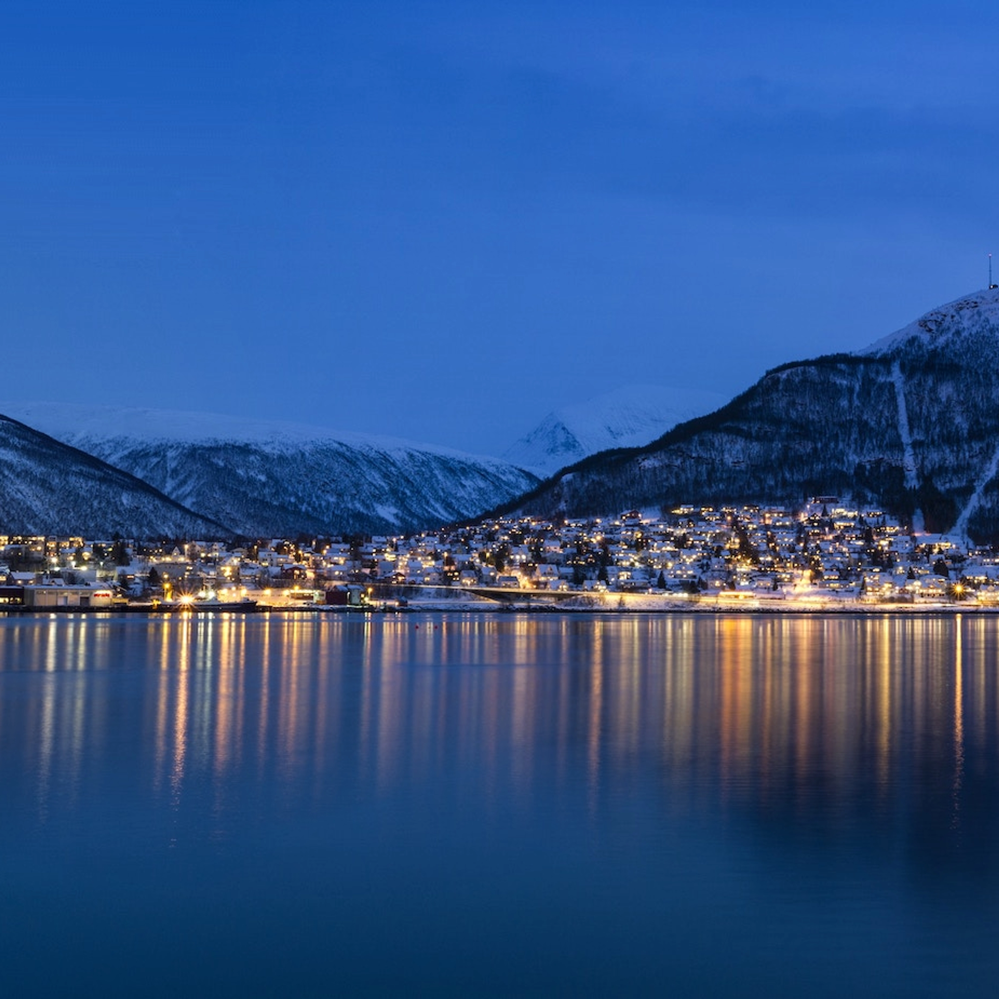 Tromsø - Walbeobachtung in Tromsø - Aktivitäten in Tromsø, Norwegen
