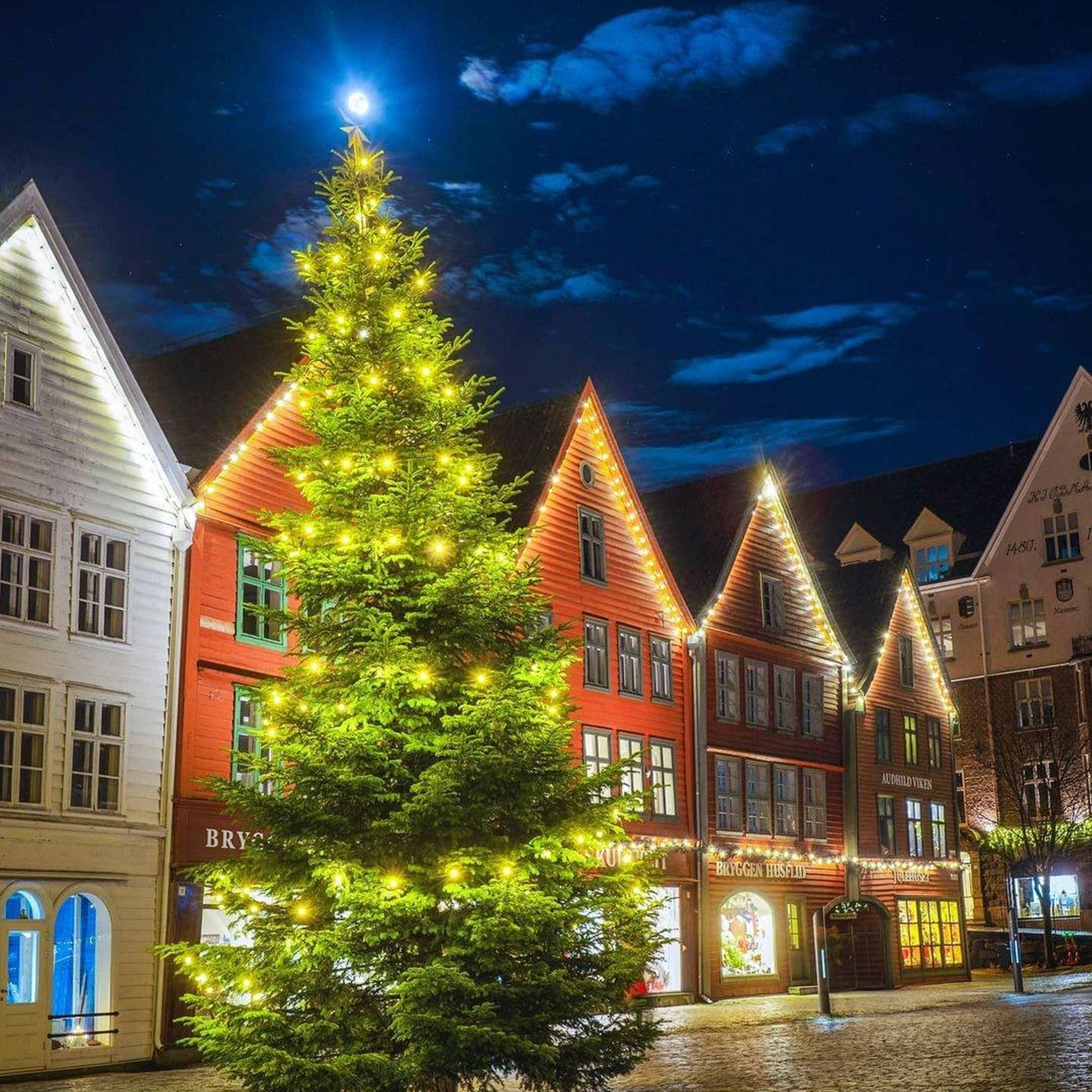 Christmas tree in Bryggen - Bergen, Norway