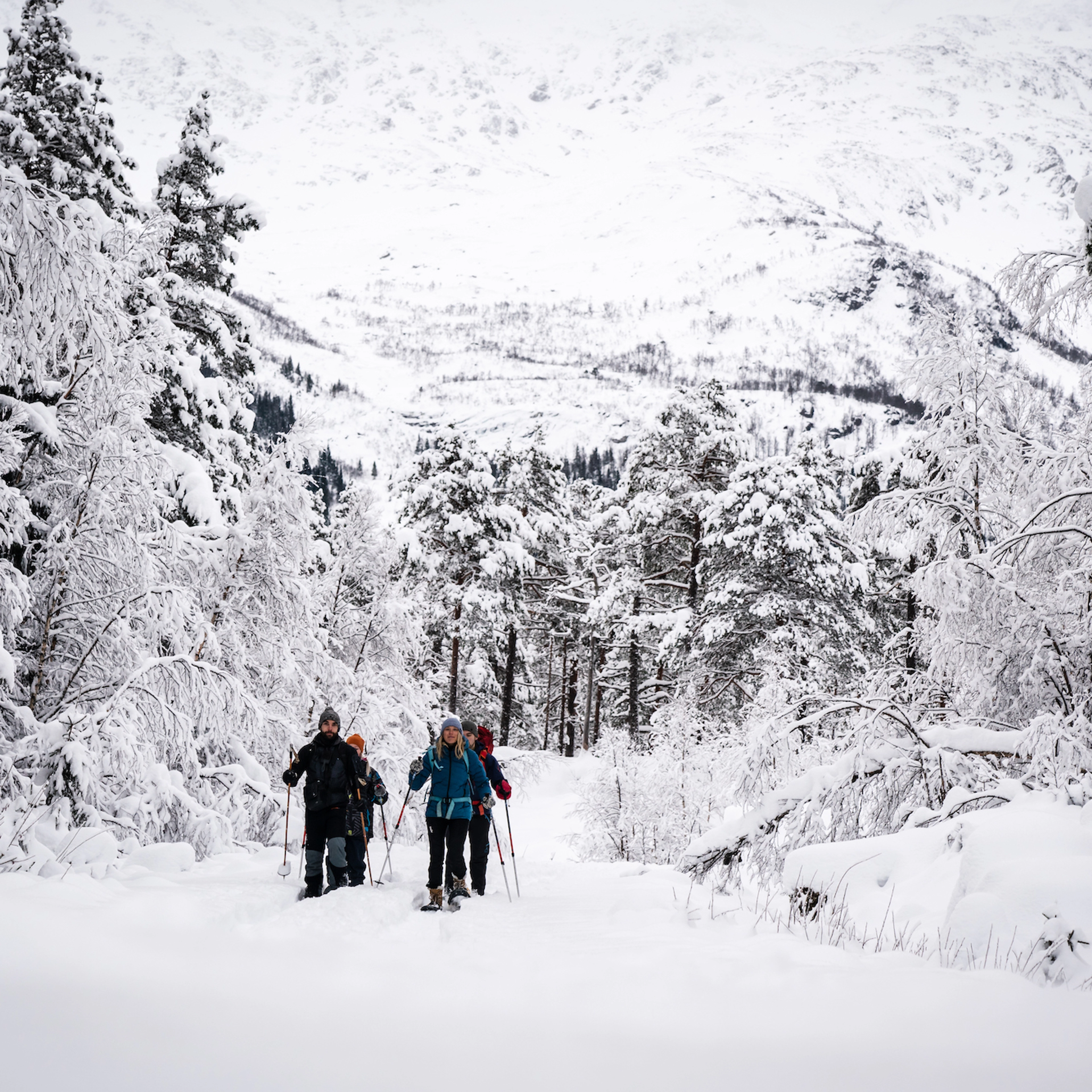 Schneebedeckte Bäume - Schneeschuhwanderung im Raunadalen, Voss, Norwegen