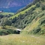 Ziegenfarm Leim - Wanderung und Fjordsafari zur Ziegenfarm Leim - Flåm, Norwegen