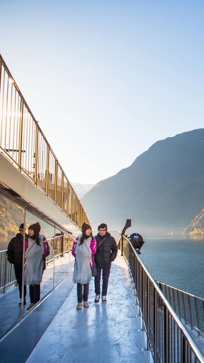 Electric fjord cruise on the Nærøyfjord - Go Viking with Fjord Tours , Flåm , Norway