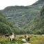 Flåm Zipline, Flåmsbahn und Radtour - die Ziegen warten auf die Zip - Aktivitäten in Flåm, Norwegen