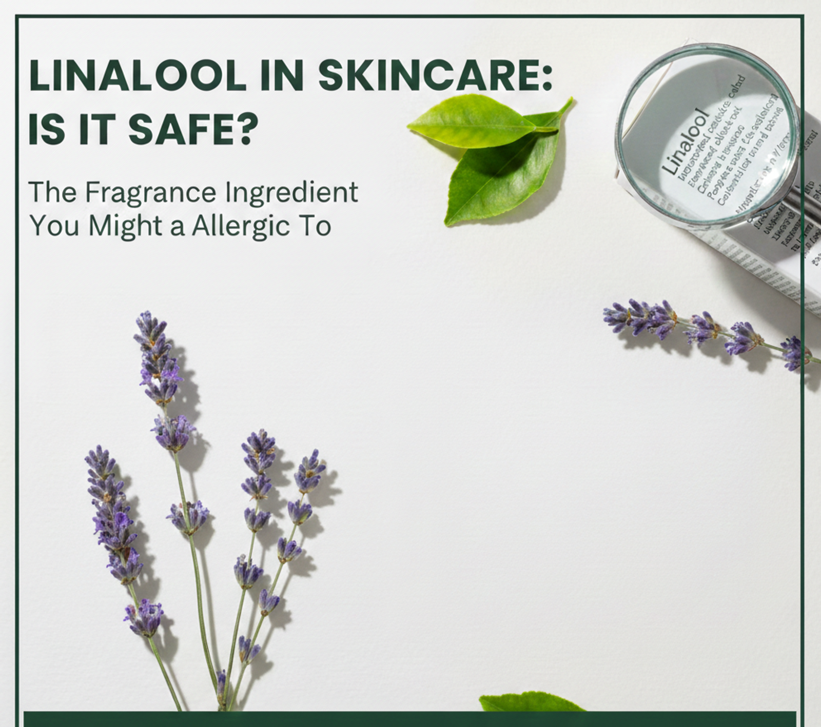 Linalool in Skincare: Is It Safe, What Does It Do, and Should You Avoid It?