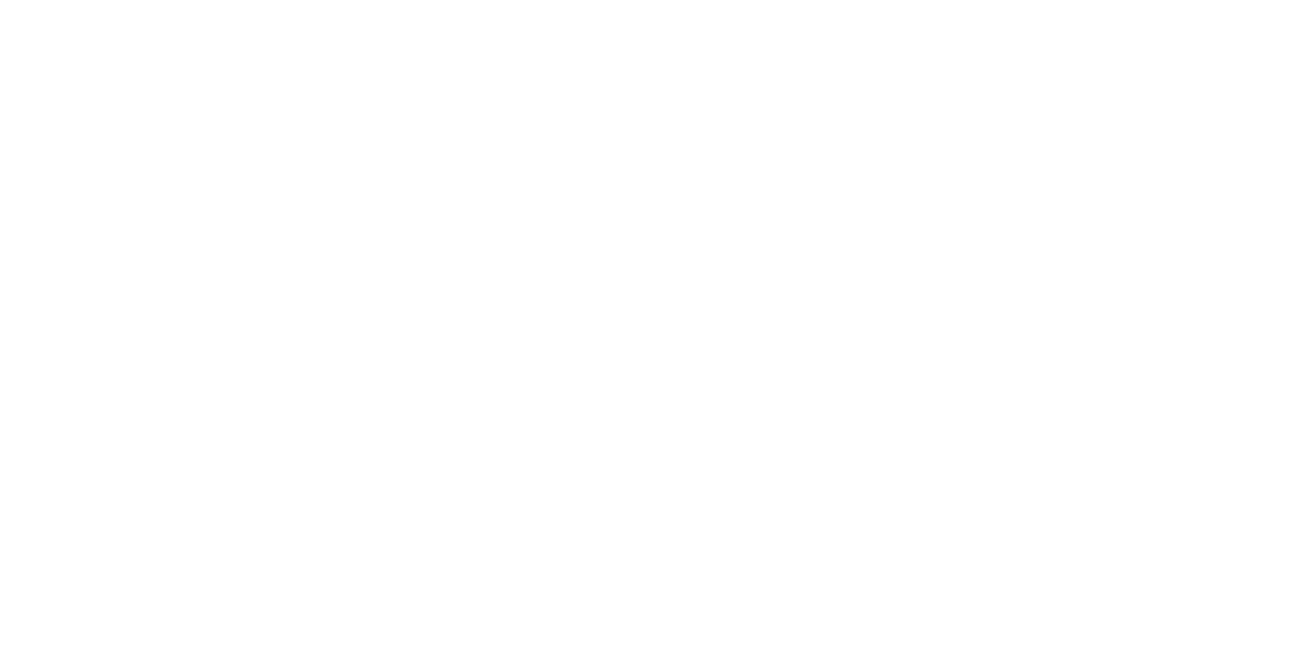 Logo 1st Log AG