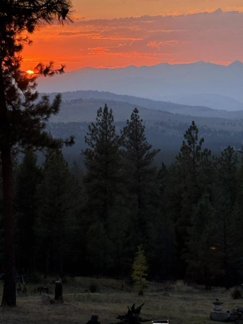 Sunset Glow Over the Meadow