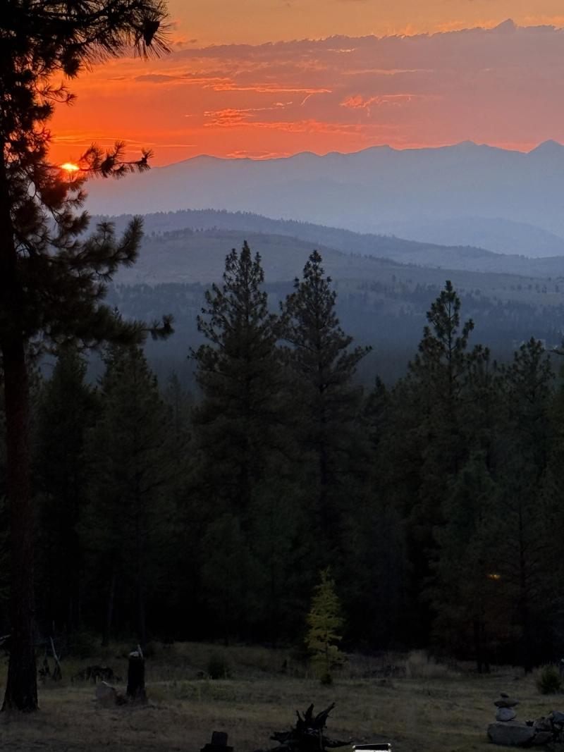Sunset Glow Over the Meadow