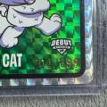 VeeFriends Super Stickers Spectacular Series Perfect Persian Cat Green Debut Numbered 204/399
