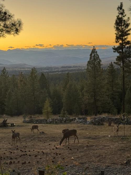 Cascade Sunset — Iron Mountain