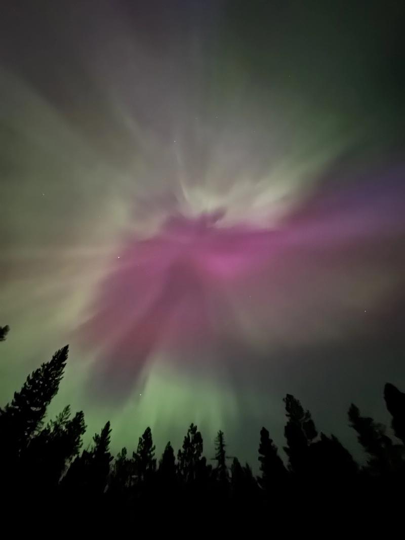 Purple Aurora Dome