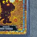VeeFriends Super Stickers Spectacular Series Insightful Irish Terrier Gold Holographic Numbered 19/55