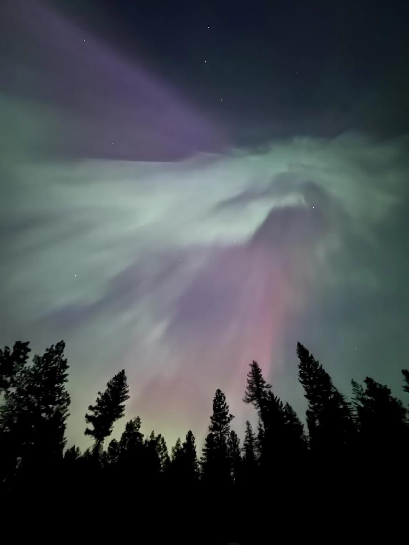 Aurora Over the Meadow