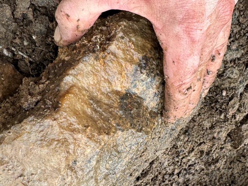 Tiger Iron Ironstone Boulder