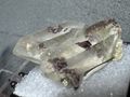 Quartz w/ Axinite - New Melones CA