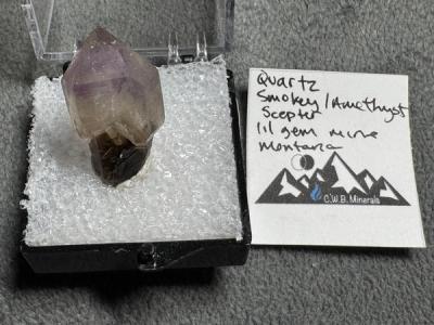 Quartz Smokey/Amethyst Scepter — Lil Gem Mine, Montana