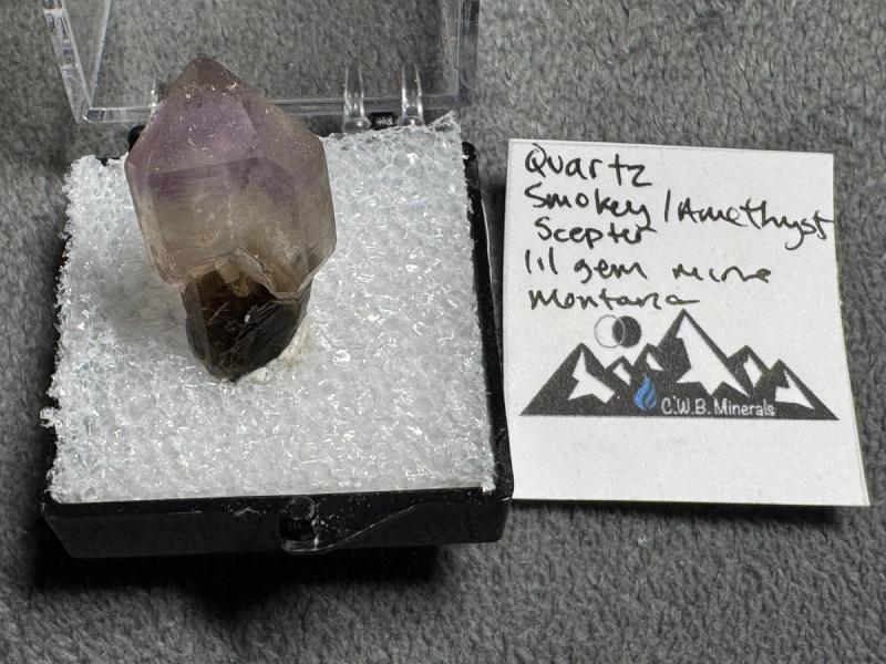 Quartz Smokey/Amethyst Scepter — Lil Gem Mine, Montana