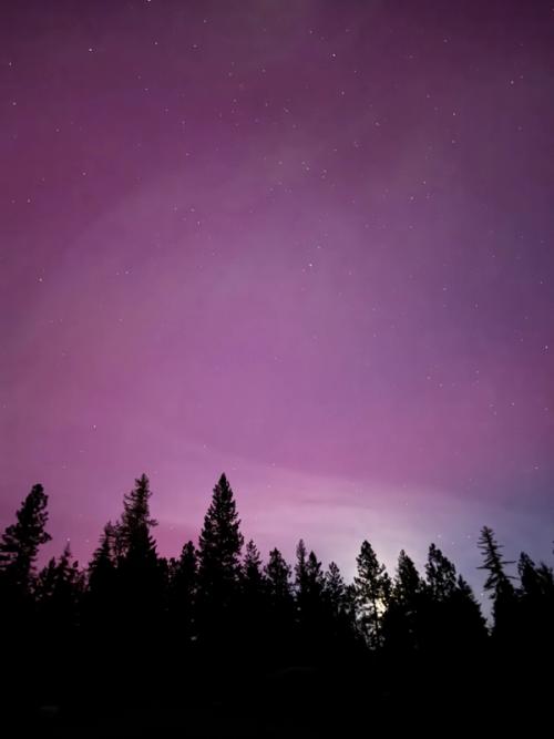 Aurora Over the Homestead
