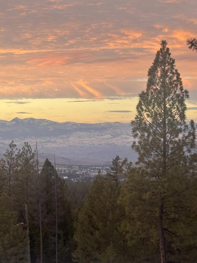 Sunset Silhouette — Pine Ridge