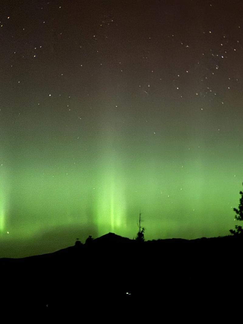Green Pillars Over Iron Mountain