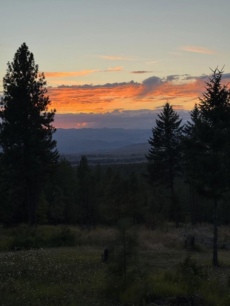 Tunk Valley Sunset I