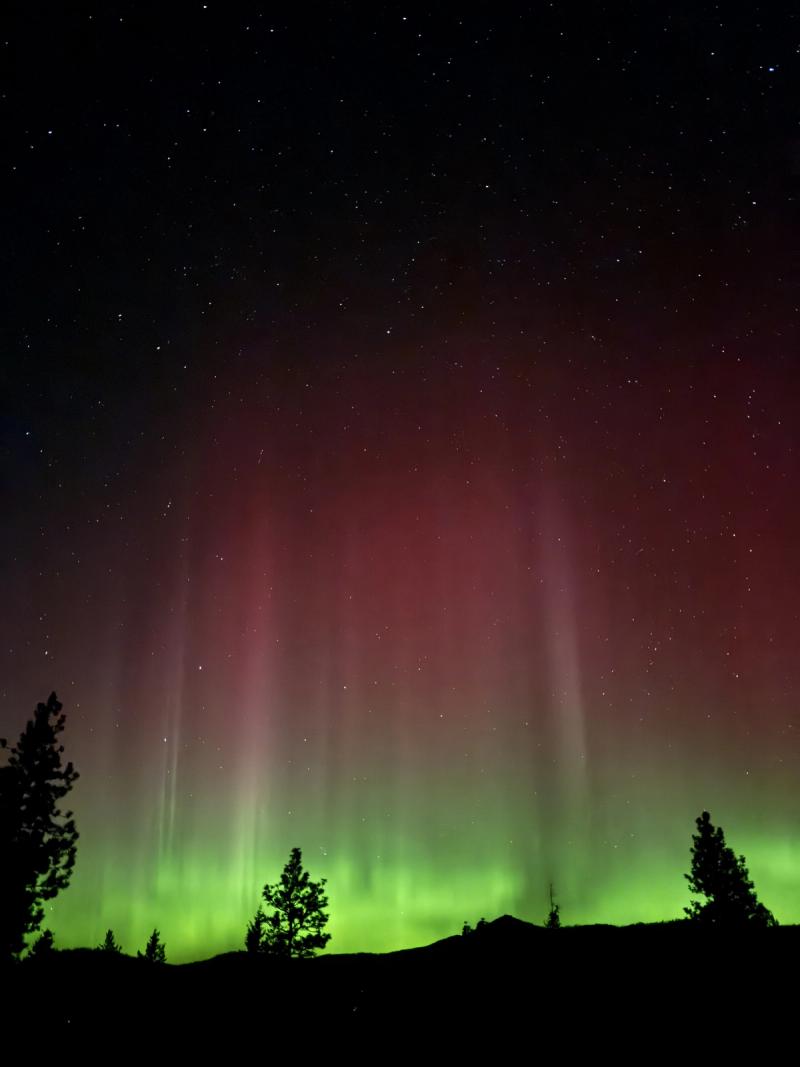 Aurora Bloom Over the Cascades