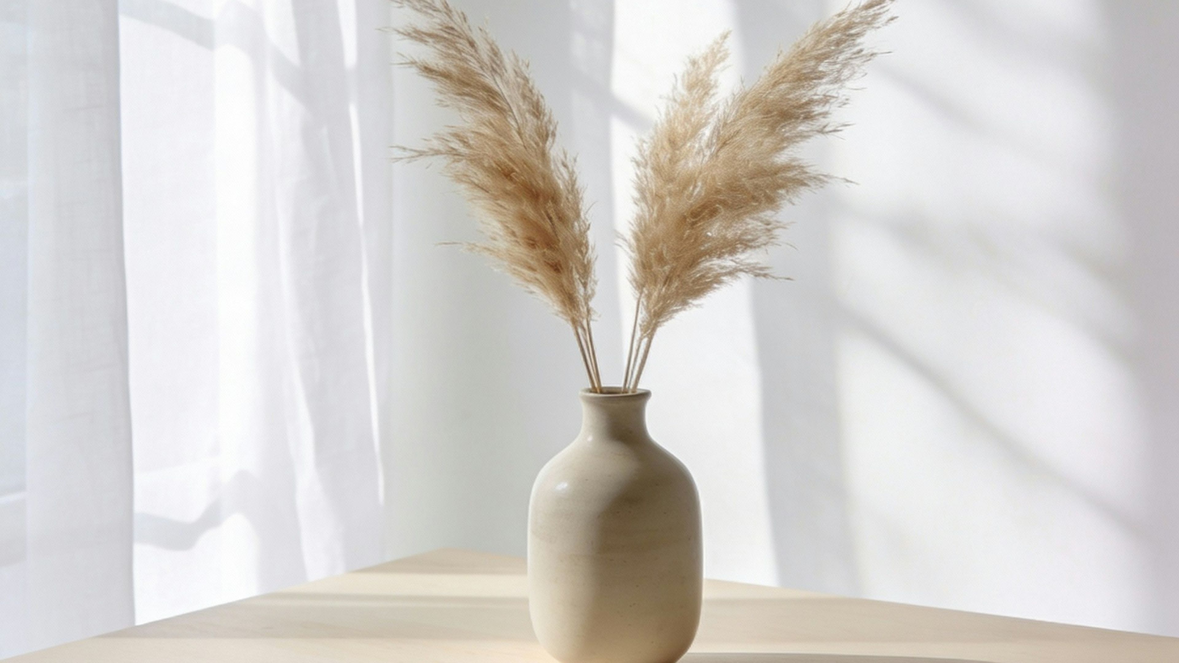 Dried grasses in a vase on a sunlit shelf