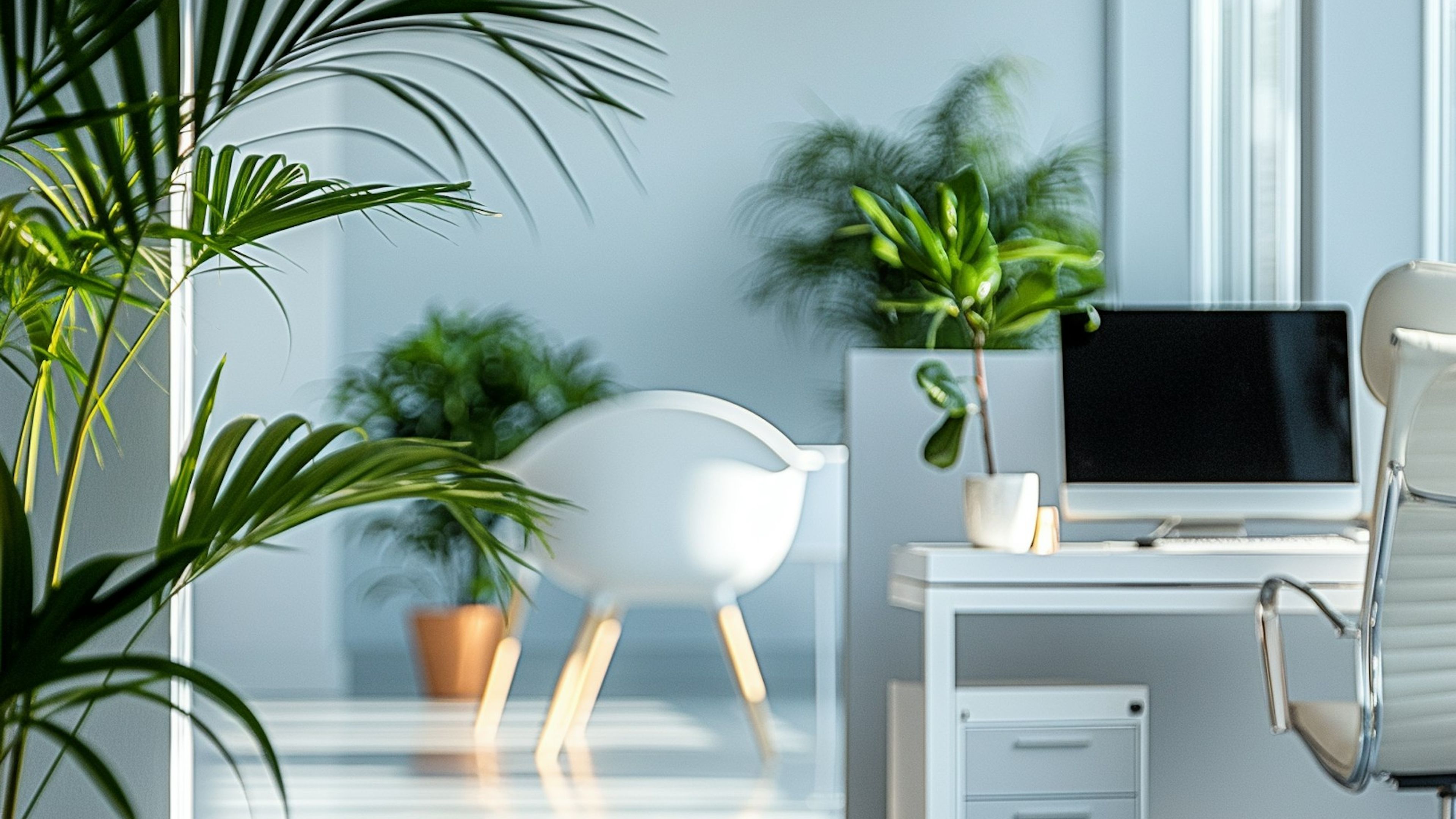 A bright open-plan office with plants and long desks
