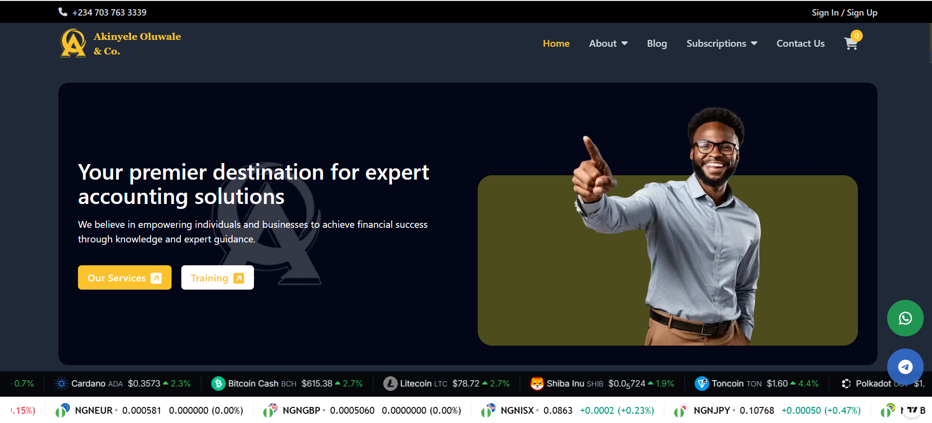 Akinyele Oluwale & Co — Finance & Accounting Website