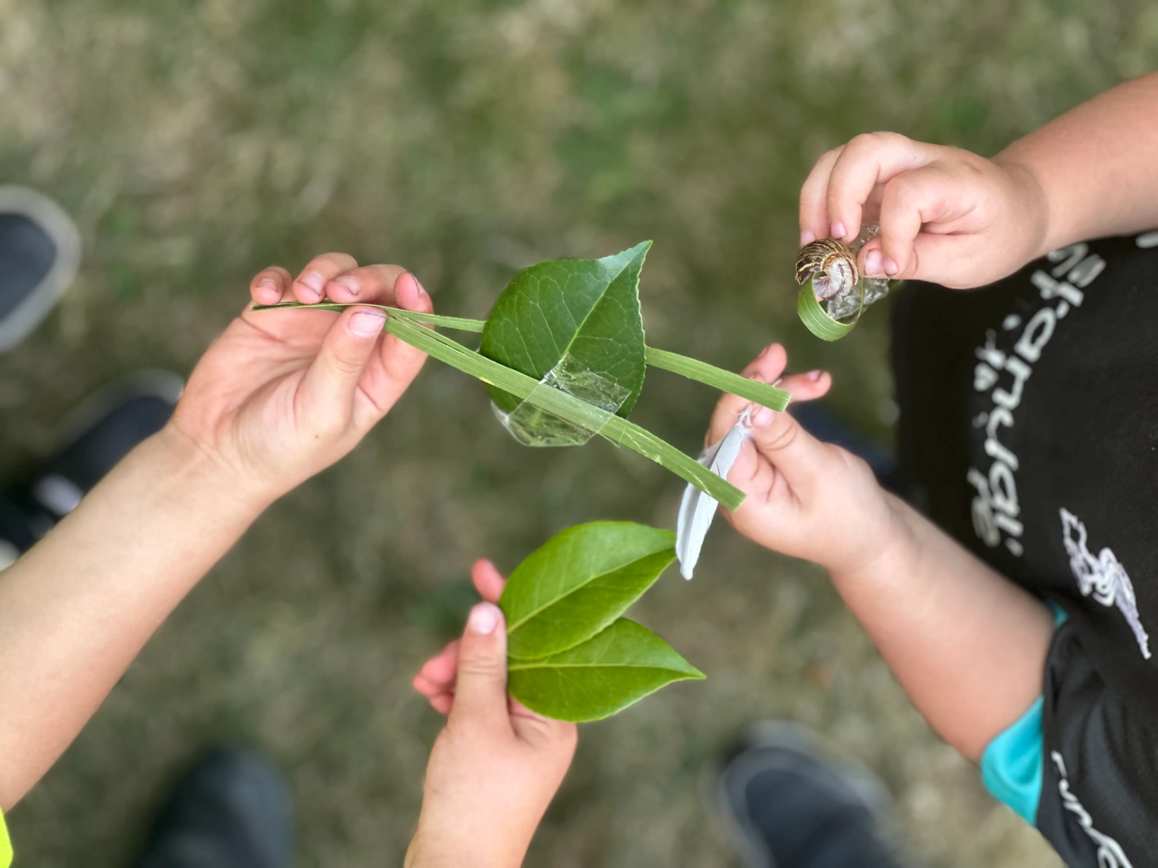 Children playing with leaves