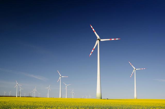 Sustainability