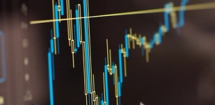Daily Analysis: Euro Holds Steady Ahead of Inflation Data
