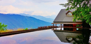 Reasons for international transfer