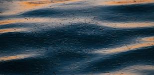 Fuel Risk Management: How Businesses Can Mitigate Rising Fuel Costs