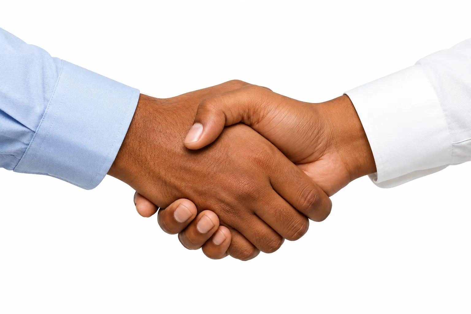 Tendering & MTO